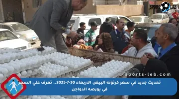تحديث جديد في سعر كرتونة البيض الأربعاء 30-7-2025.. تعرف على السعر في بورصة الدواجن